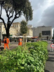 Termini, ci sono degli alberi piantati sul percorso della futura ciclabile: ora vanno rimossi