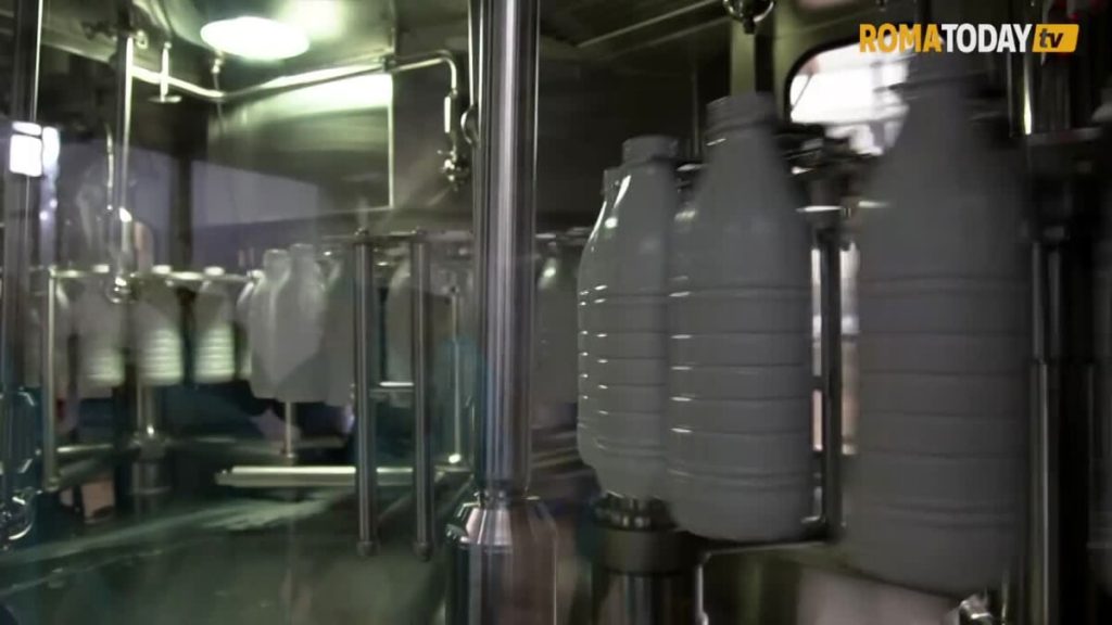 VIDEO | Dentro lo stabilimento di Fattoria Latte Sano