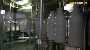 VIDEO | Dentro lo stabilimento di Fattoria Latte Sano
