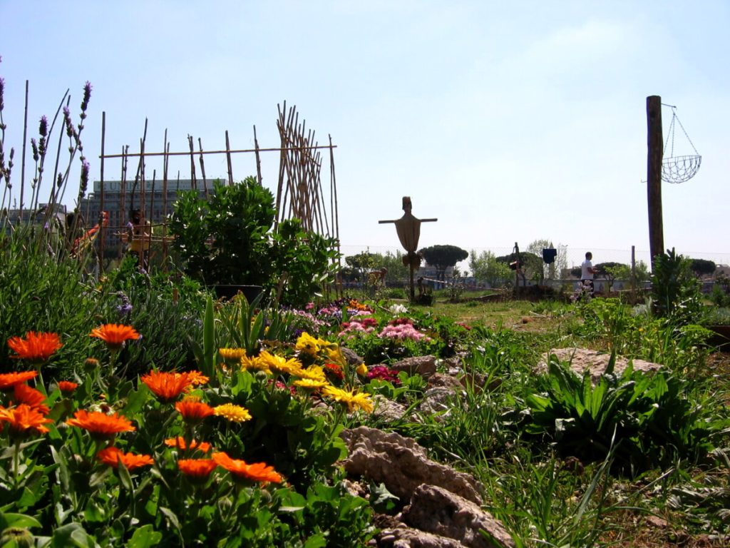 Gli orti urbani si fanno "comunitari": il comune ha pronto un nuovo regolamento