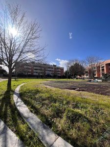 Giochi e aree sportive, così rinasce il parco di Casale Nei