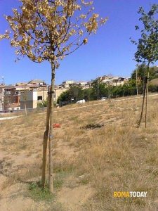 Baby gang spezza braccio a un 16enne nel parco, volevano rapinarlo