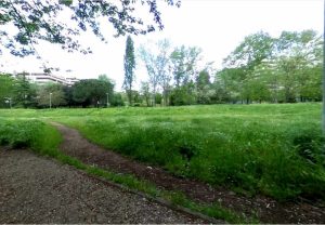 Viale del Tintoretto, parte l'iter per la liberazione dell'area verde. Ma resta il nodo risorse