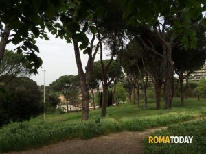 "Cani avvelenati al parco". Scatta la psicosi polpette contaminate