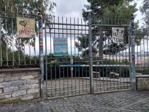 Monte Mario, dopo il taglio di 400 pini riaperto il parco: ora vanno sostituiti gli alberi abbattuti