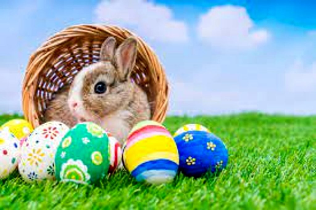 Spettacolo teatrale per bambini "Il coniglio di Pasqua"