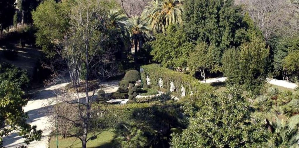 Villa Sciarra addio a pini e querce: via libera al taglio di 12 alberi