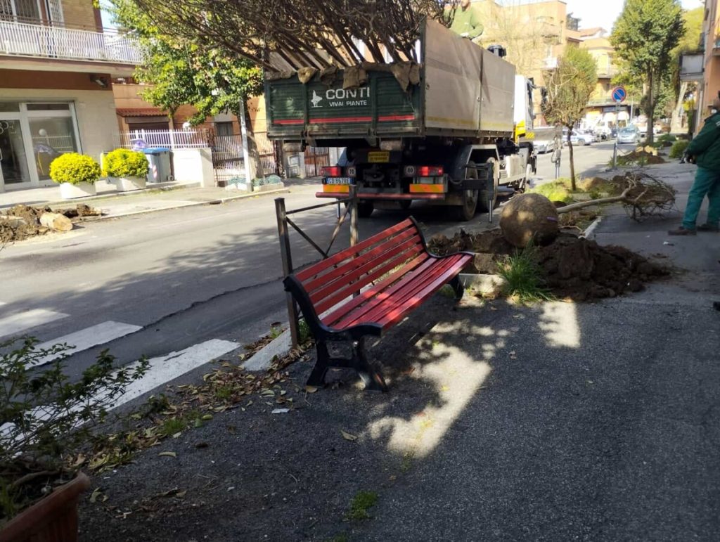 A Vitinia sono stati piantati 50 nuovi alberi
