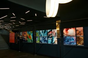 Visita all'ASI (Agenzia Spaziale Italiana) per Open House Roma 2024