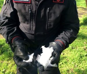 Torrevecchia, spaccia droga con un maiale al guinzaglio