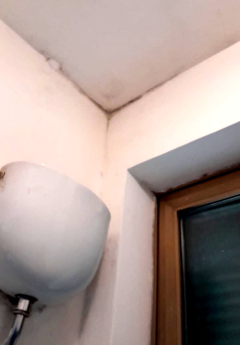 Dopo 10 anni in un residence ottengono la casa popolare: "Ma è un seminterrato pieno di umidità e i pavimenti esplosi"