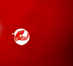 "Corpus Körper", mostra personale di Valentina Iacovelli