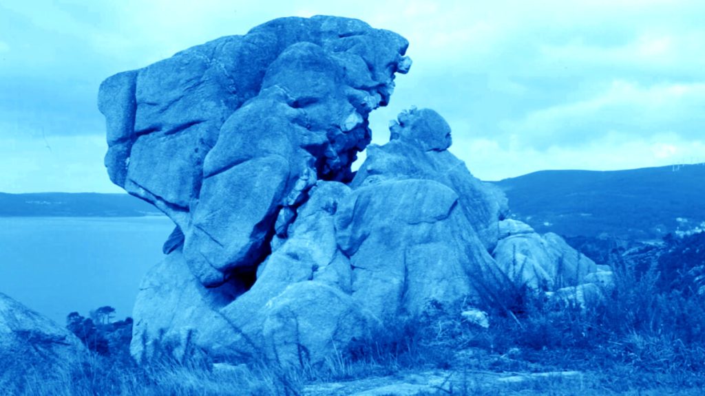 Eco di corpi futuri: lecture performance di Caterina Silva