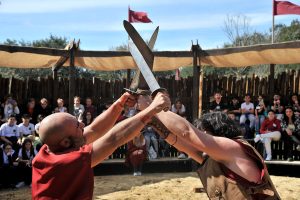 Gli Antichi Romani tornano a vivere a Roma World: tutte le novità della stagione 2024