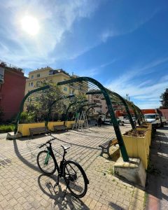 Dodici piante di glicline alla stazione di Appiano