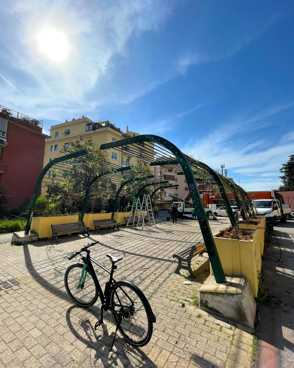 Dodici piante di glicline alla stazione di Appiano