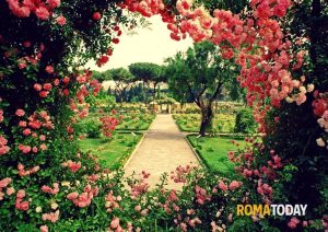 Natale di Roma, apre il Roseto di Roma: 1200 varietà da ammirare