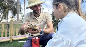 Inaugurazione della più grande area d’Europa dedicata alle testuggini africane