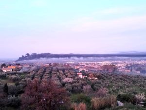 Incendio Ardea, in fiamme pneumatici e rifiuti. Nube nera su Roma e i Castelli. "Tenete le finestre chiuse"