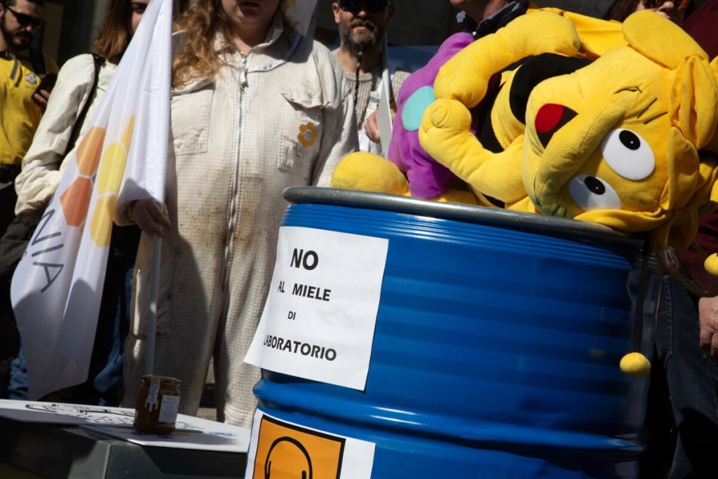 Bando miele 2024, la Regione Lazio finanzia tutti i progetti vincitori. Ecco a chi finiscono i soldi