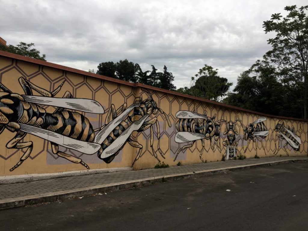 Open House 2024 alla scoperta del Quadraro