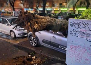 Alberi caduti a Roma, a Marconi crollo su un'auto parcheggiata