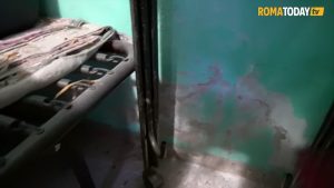 VIDEO | Benvenuti nella case del Comune di Roma dove si vive tra infiltrazioni d'acqua e muffa