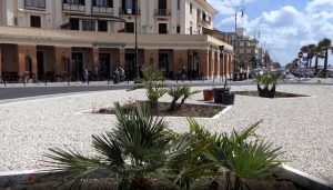 Ostia, arrivano le palme in piazza dei Ravennati: il restyling è terminato