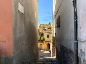 “No al biodigestore, sì ad opere e servizi”. Così il M5s vuole “avvicinare” Cesano alla città