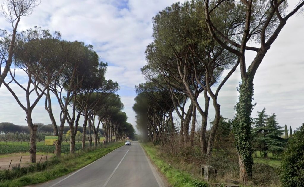 Torricola, strada chiusa e bus deviati: ci sono i pini da abbattere