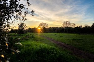 Earth Day nell'Oasi naturalistica del WWF a Castel Romano