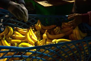 Anche il centro soffre la fame. La mappa della precarietà alimentare di Roma