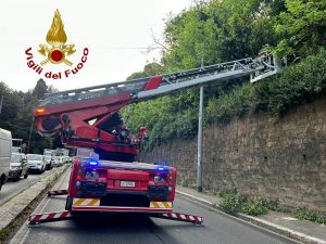 Una ragazza di 19 anni è caduta dal muro della terrazza del Pincio