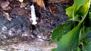 Furti, vandali e siringhe abbandonate: in un asilo nido di Centocelle è emergenza sicurezza