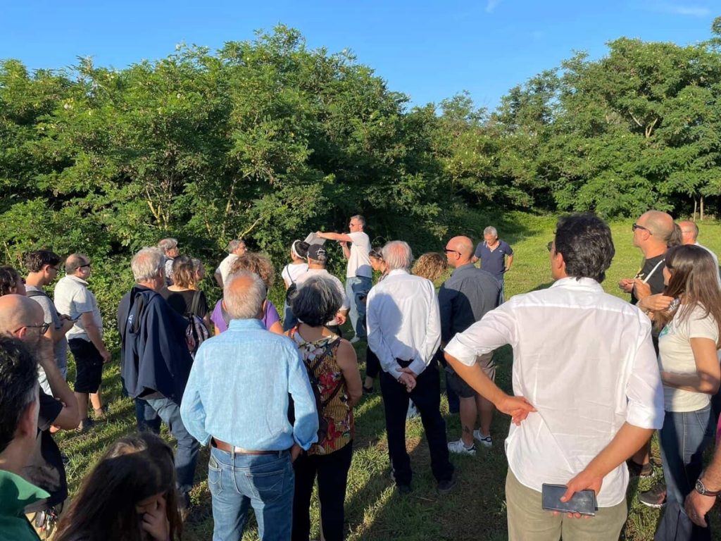 Stadio della Roma, adesso spunta un bosco. Il progetto giallorosso rischia una brusca frenata