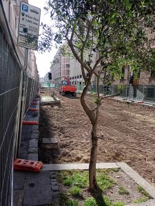 Prati piange i suoi sampietrini. I residenti rivogliono i blocchetti di selce