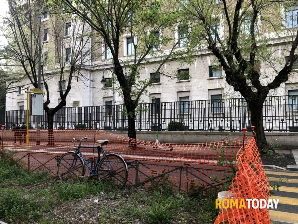 Lettori - Viale dell’Università abbandonata