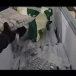 VIDEO | Mille chili di hashish nascosti nel congelatore e nel sottoscala