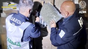 Quattrocento chili di marijuana nelle bobine di carta, maxi sequestro al porto