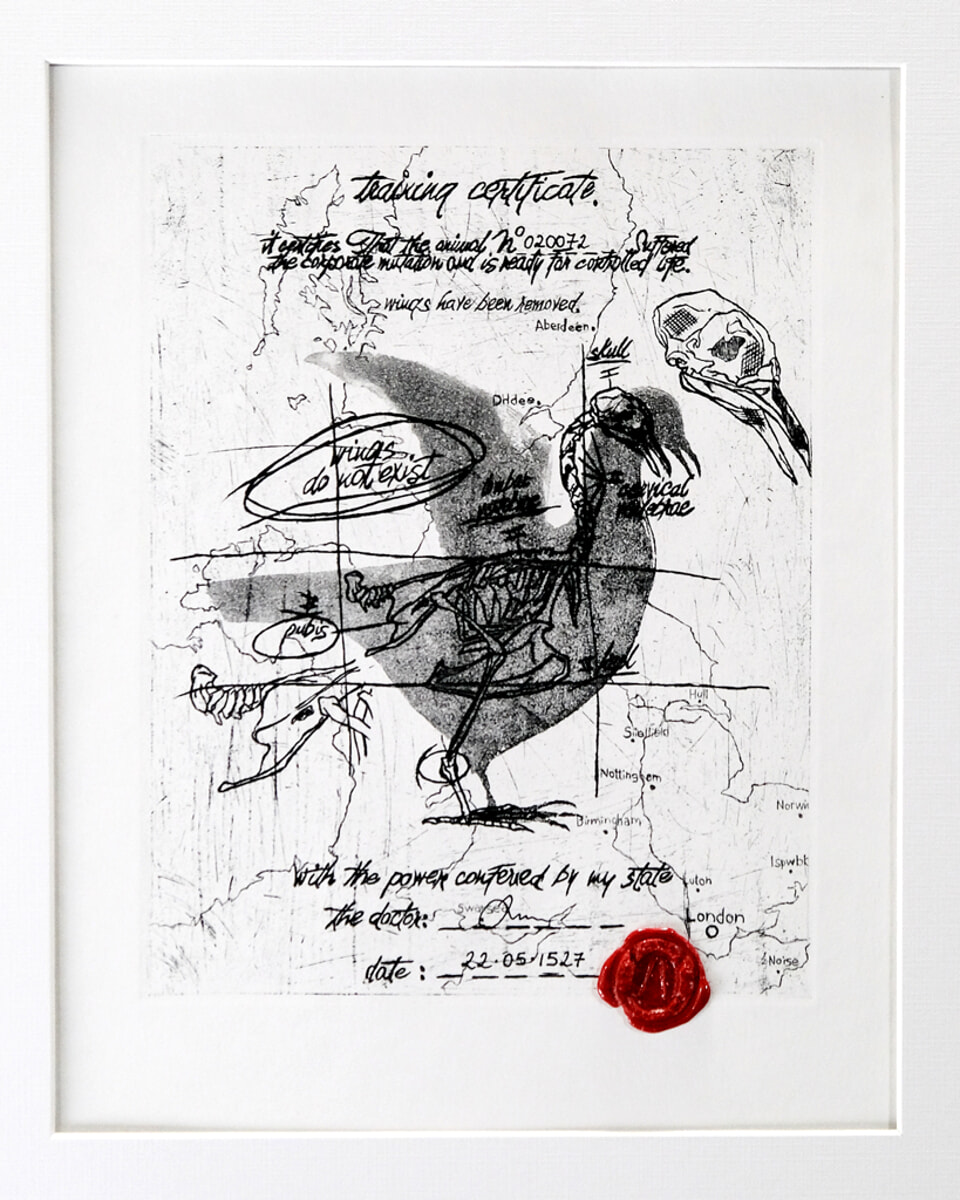 A-Head Project - Opera Unica di Angelo Gallo 