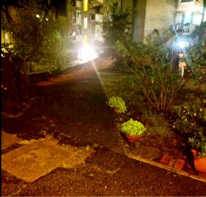 Albero crolla su un palazzo delle case popolari