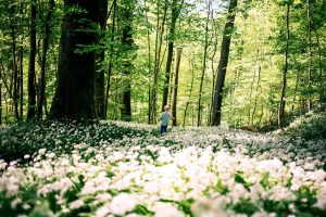 "Bambini botanici" al Museo Orto Botanico di Roma