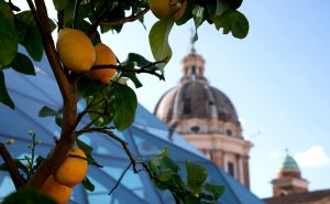 Pesto basilico e limone, un connubio perfetto sorprende la città eterna con un evento che inaugura la stagione estiva romana 