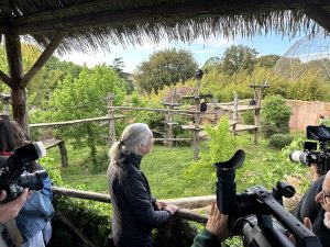 I bioparco fanno rete: nasce a Roma il coordinamento per il benessere degli scimpanzé