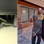 Serpente in una clinica a Roma, panico tra i dipendenti