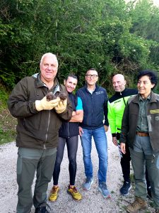 Erano soli e ricoperti di parassiti: guardiaparco salvano due cuccioli di volpe