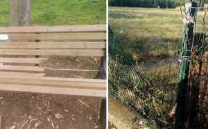 Garbatella, orti e parco presi di mira: “Siamo bersagliati da furti e danneggiamenti”