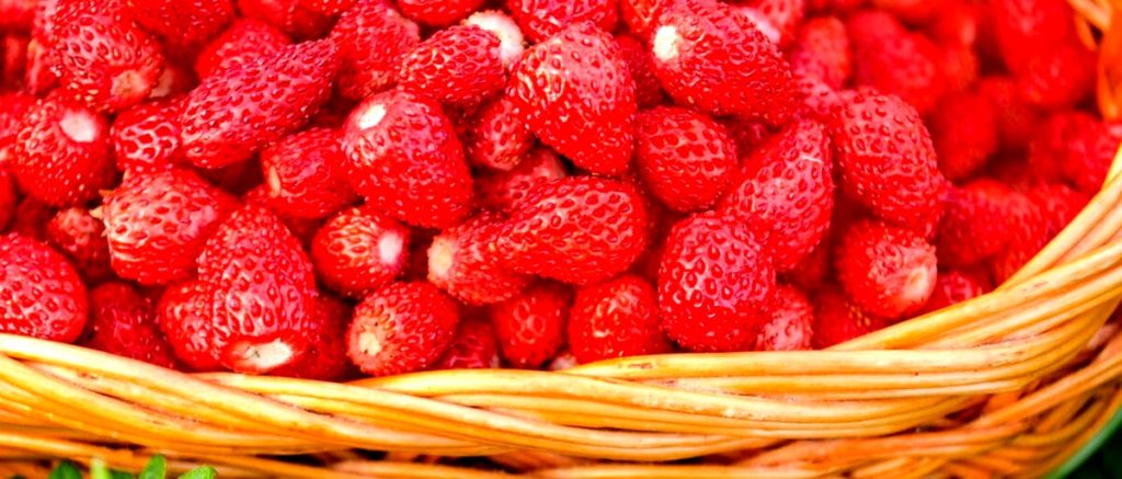 Sagra delle Fragole di Nemi