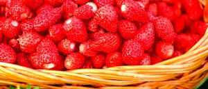 Sagra delle Fragole di Nemi