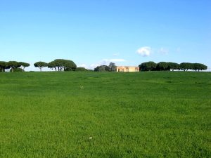 Terreni vincolati scambiati con aree edificabili. La destra studia un nuovo "condono"